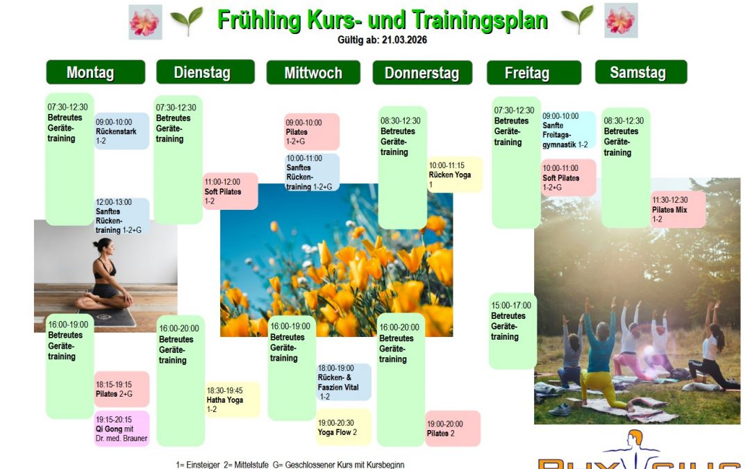 Fitnesstraining in Bad Soden – Kursplan